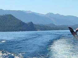 img1185.jpg