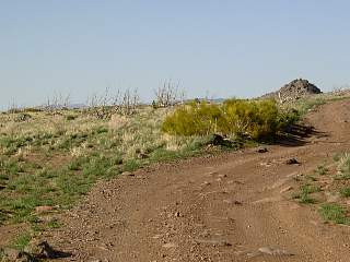 DSC03745.JPG