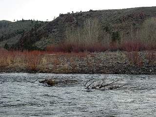 DSC03756.JPG