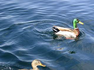 DSC03791.JPG