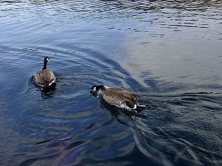 DSC03796.JPG