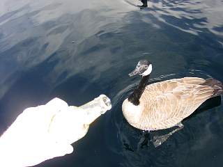 DSC03808.JPG