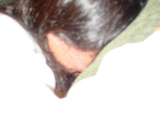 DSC03853.JPG