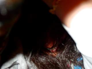 DSC03855.JPG