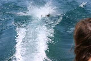 img0245.jpg
