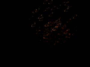 dsc00640.jpg