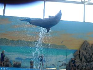 dsc00676.jpg