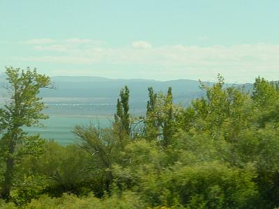 dsc06003.jpg